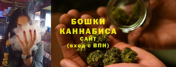 амф Михайловск