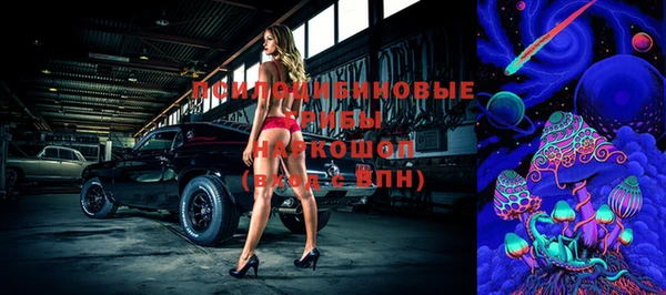 каннабис Михайловка