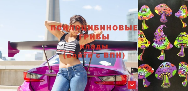 мдпв Надым