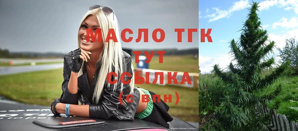 шишки Новодвинск
