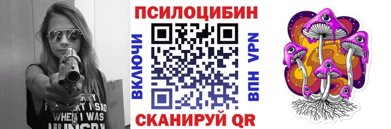магазин продажи наркотиков Плавск Псилоцибиновые грибы Psilocybe